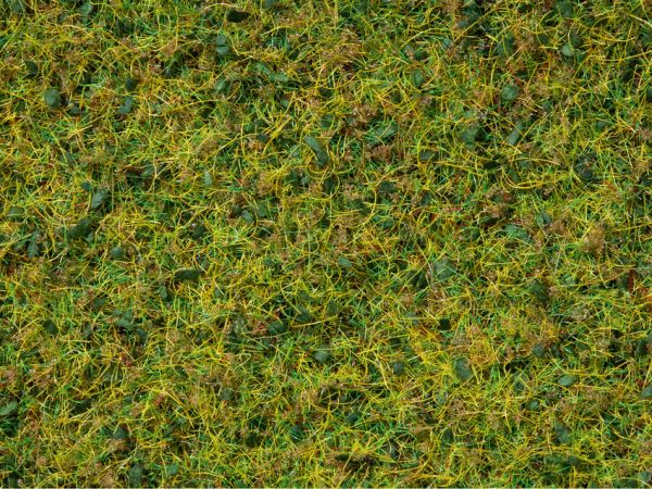 NOC07077 - Pot groen stroomden mengsel 100g 2;5 tot 6mm - 1