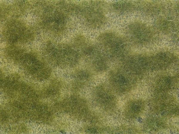 NOC07253 - Groen/beige bladgroen 12x18 cm - 1