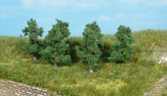 HEK1162 - 6 Appelbomen 4 cm - 1