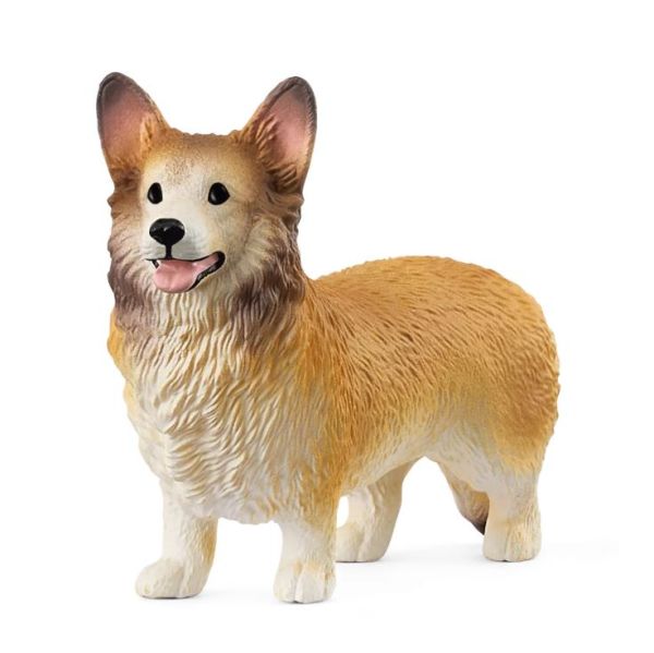 SHL13999 - Welsh Corgi - 1