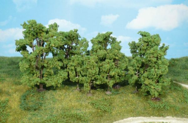 HEK1415 - 12 Bomen 6-13 cm - 1