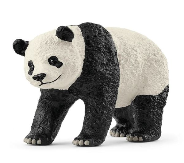 SHL14885 - Reuzenpanda - 1