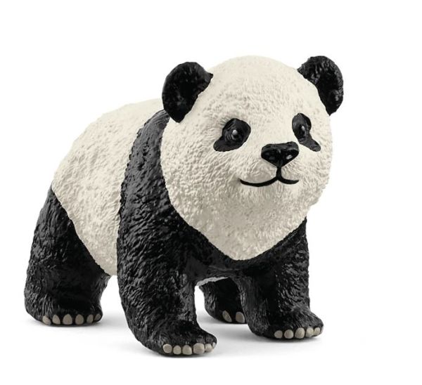SHL14886 - Jonge Reuzenpanda - 1