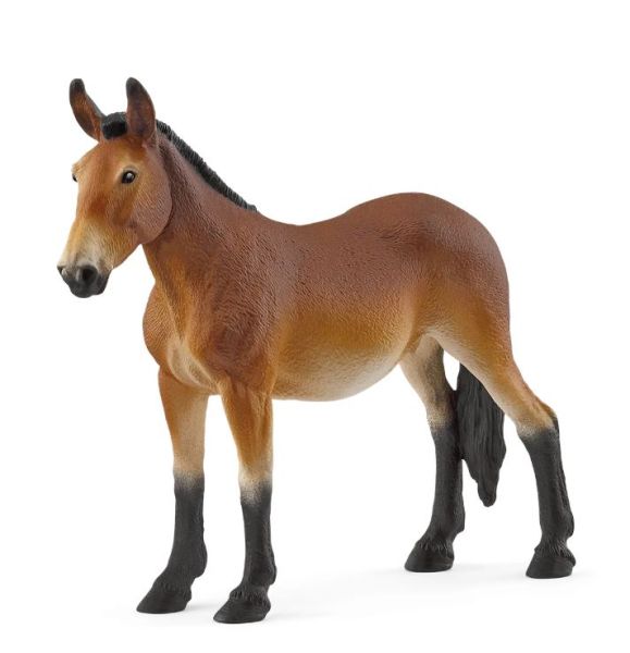 SHL14889 - Muilezel - 1