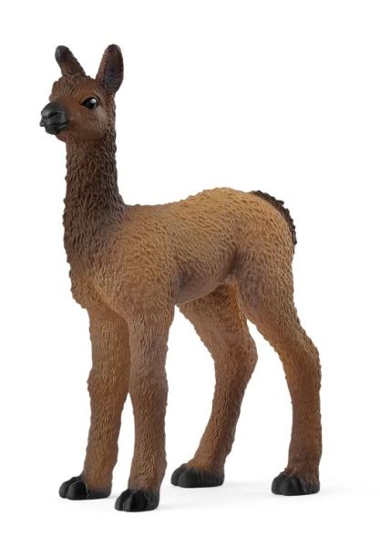 SHL14890 - Baby Lama - 1