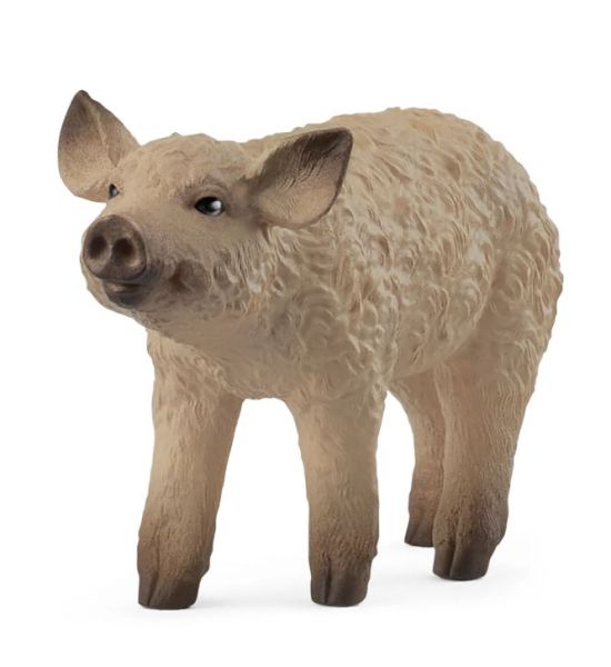 SHL14893 - Mangalica Biggetje - 1
