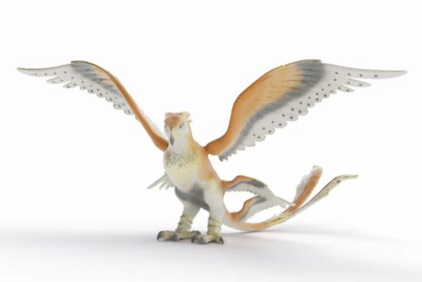 SHL14904 - De Dondervogel - 1