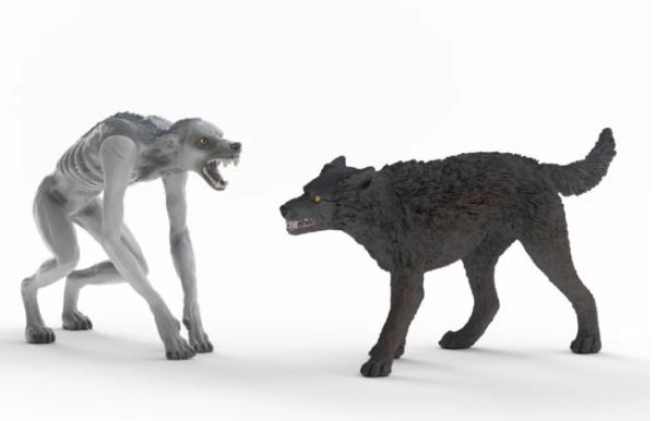 SHL14906 - Weerwolf vs. Faunaat - 1