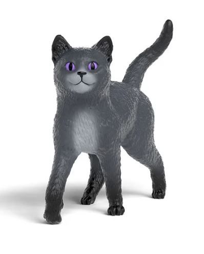 SHL14912 - Karajan de Kat - School voor Magische Dieren - 1