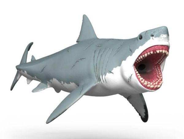 SHL15055 - Megalodon - 1