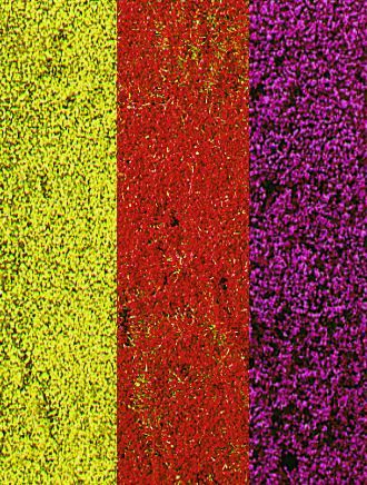 HEK1585 - Kleurrijke bloemdecoratie - 28 x 14 cm - 1
