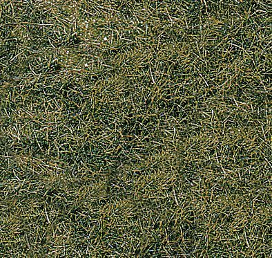 HEK1872 - 2 Matten wild gras bergweide - 40 x 24 cm - 1