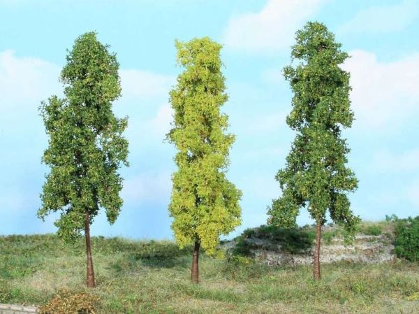 HEK1926 - 3 Loofbomen 14 cm - 1