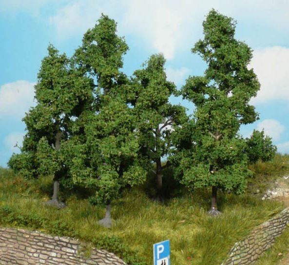 HEK1932 - 5 Fruitbomen 5-8 cm - 1