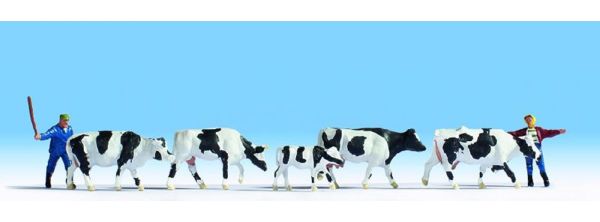 NOC15724 - Herder met koeien - 1