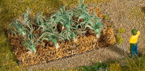 NOC13222 - Prei planten - 1