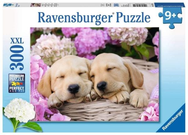 RAV132355 - Puzzel van 300 stukjes Schattige honden in een mand - 1