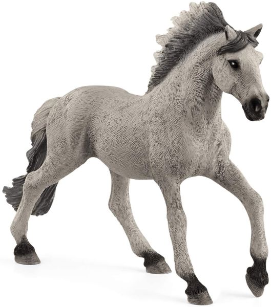 SHL13915 - Mustang hengst Sorraia - 1