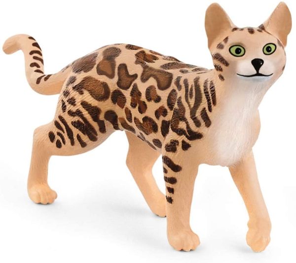 SHL13918 - Bengaalse kat - 1