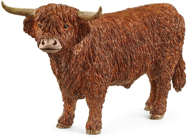 SHL13919 - Highland stier - 1