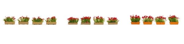 NOC14010 - Bloembakken; rood - 1