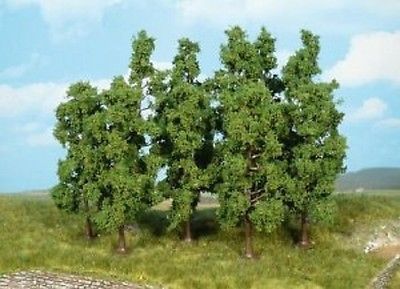 HEK1732 - 5 Fruitbomen 5-9 cm - 1