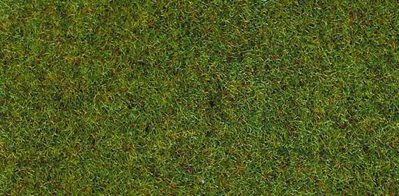 HEK3361 - Zak van 100 g van 2-3 mm bosgras stroomden - 1
