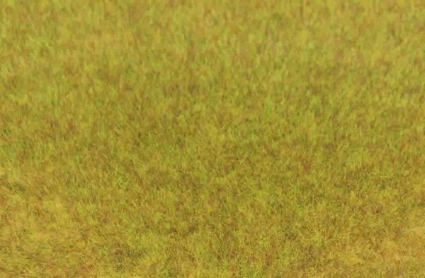 HEK3371 - Zak 75 g wild herfstgras 5-6 mm - 1