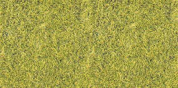 HEK3367 - Zak 75 g weidegroen wild gras 5-6 mm - 1
