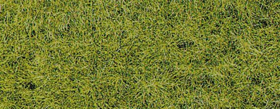 HEK3376 - XL 10 mm spring flocking materiaal - 50 g - 1