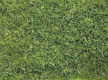 HEK3377 - Zak 50 g XL zomergras 10 mm - 1