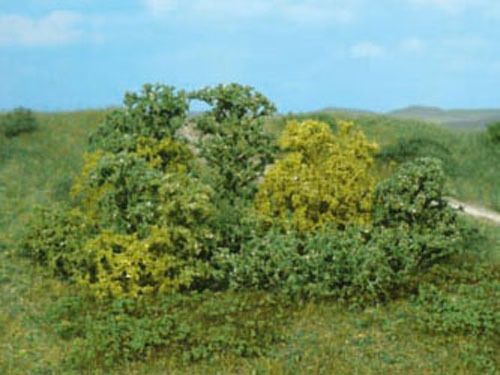 HEK1646 - 20 Natuurlijke struiken - 1