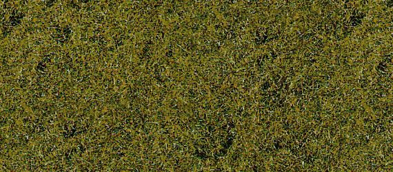 HEK1591 - Weidegrastapijt medium groen 28 x 14 cm - 1