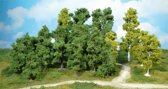 HEK1951 - 14 Loofbomen 5-12 cm - 1