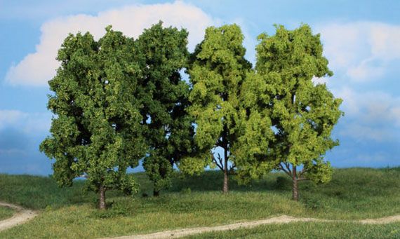 HEK1994 - 4 Loofbomen 18 cm - 1