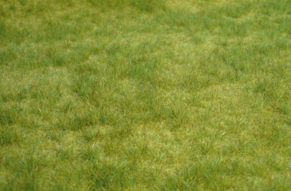 HEK1841 - Voorjaars wild gras - 45x17 cm - 1