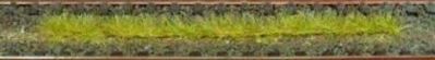 HEK1812 - Pak van 10 herfstgrasstroken 10 cm - 1