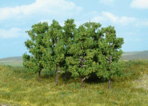 HEK1999 - 6 Els 8 cm - 1