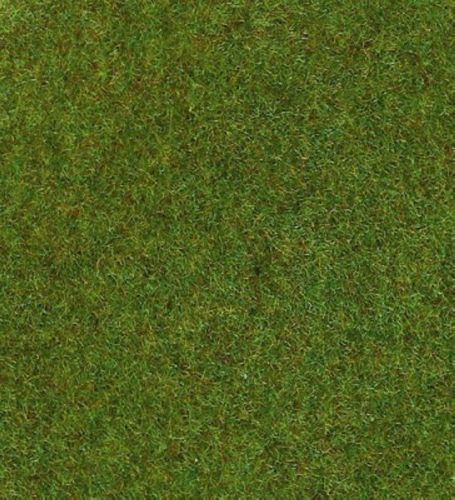 HEK30911 - Donkergroene grasmat - 75x100 cm - 1