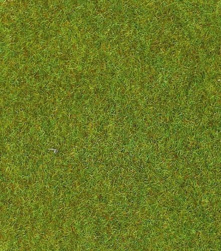 HEK30901 - Lichtgroene grasmat - 75x100 cm - 1