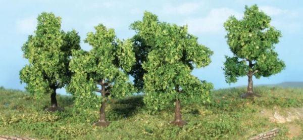 HEK19111 - 5 fruitbomen 7 cm - 1