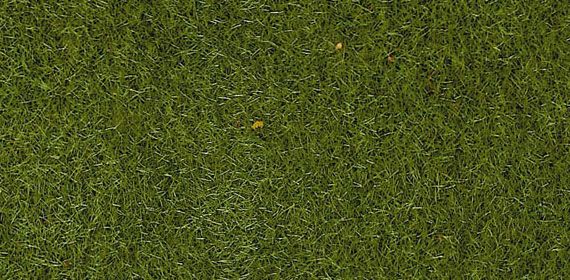 HEK3365 - Zak van 50 g medium groene flock 2-3 mm - 1