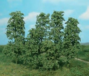 HEK1642 - Kavel van 12 natuurlijke bomen 