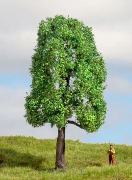 NOC20101 - Es 13 cm - 1