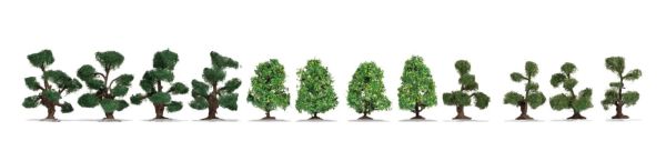 NOC21546 - 12 Sierstruiken, 4 tot 5 cm - 1