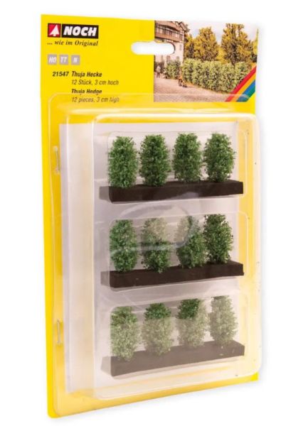 NOC21547 - 3 cm hoge thuja-haag - 1