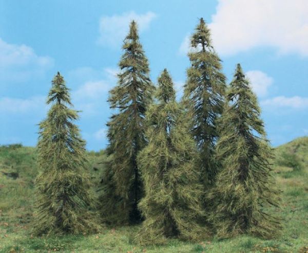 HEK2176 - 5 Lariksbomen 14-18 cm - 1