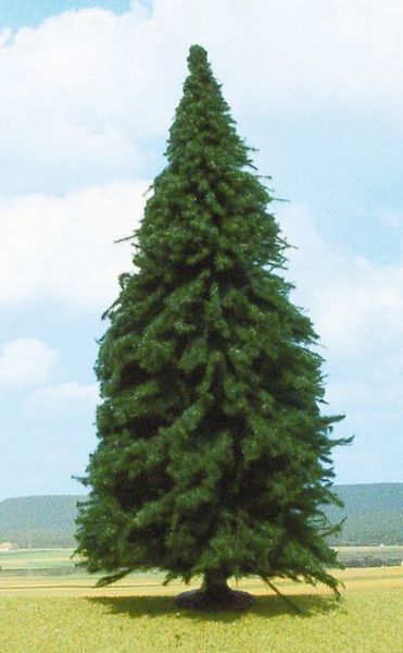 HEK2342 - Den 30 cm - 1