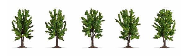 NOC25620 - 5 Loofbomen 8 cm - 1