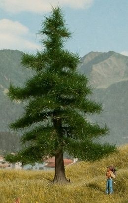 NOC21810 - Nordmann boom 12 cm - 1
